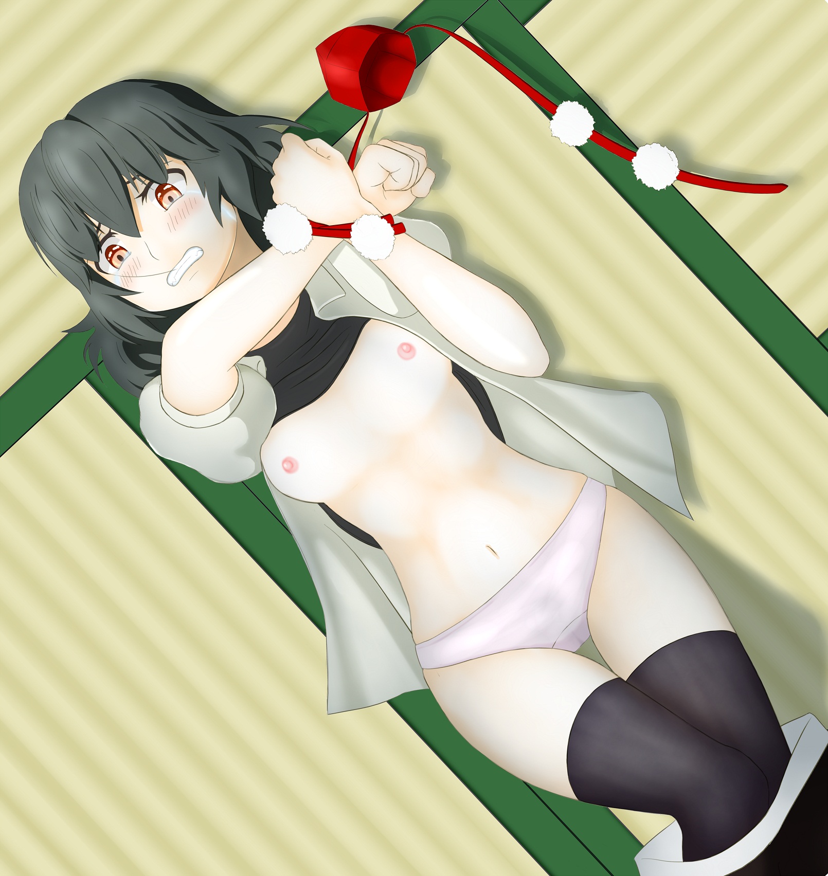 Rule34 – If it exists, there is porn of it / shameimaru aya / 93798