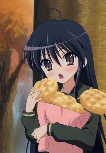 shana, shakugan no shana, lowres, non-web source, 00s, bag, black hair, bread, brown eyes, food, long hair, melon bread, paper bag, school uniform, serafuku, solo