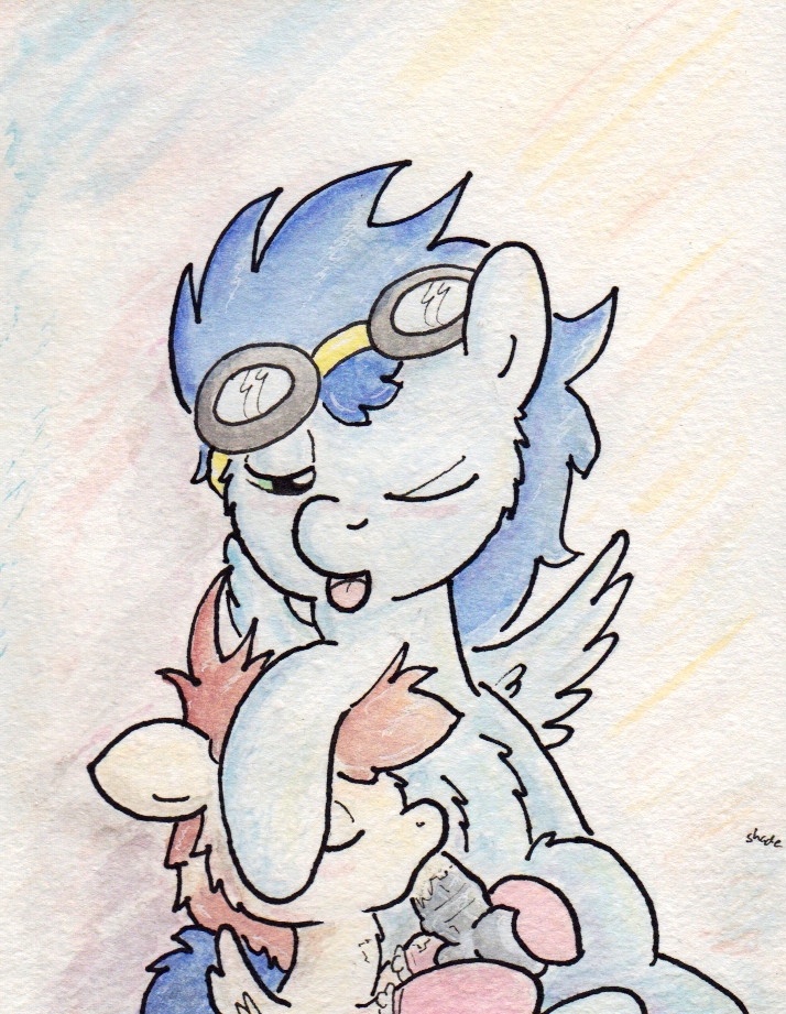 Rule34 – If it exists, there is porn of it / featherweight, soarin / 93996