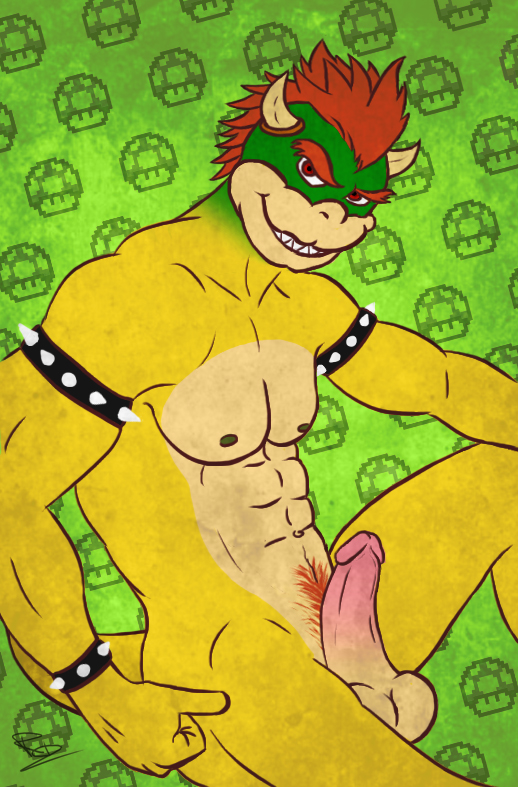 Rule34 – If it exists, there is porn of it / bowser / 94031