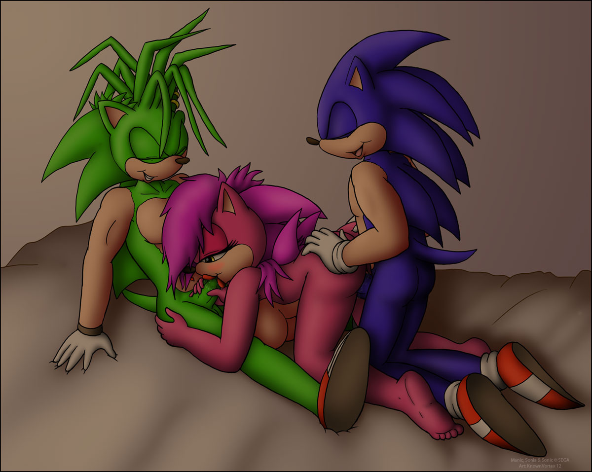 Rule34 – If it exists, there is porn of it / knownvortex, manic the hedgehog, sonia the hedgehog, sonic the hedgehog / 94204
