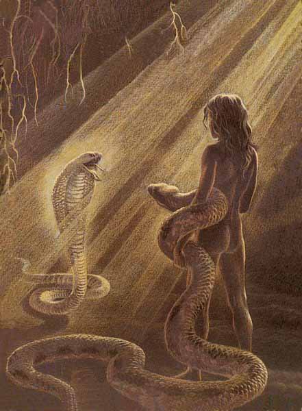 Rule34 – If it exists, there is porn of it / kaa, mowgli / 94246