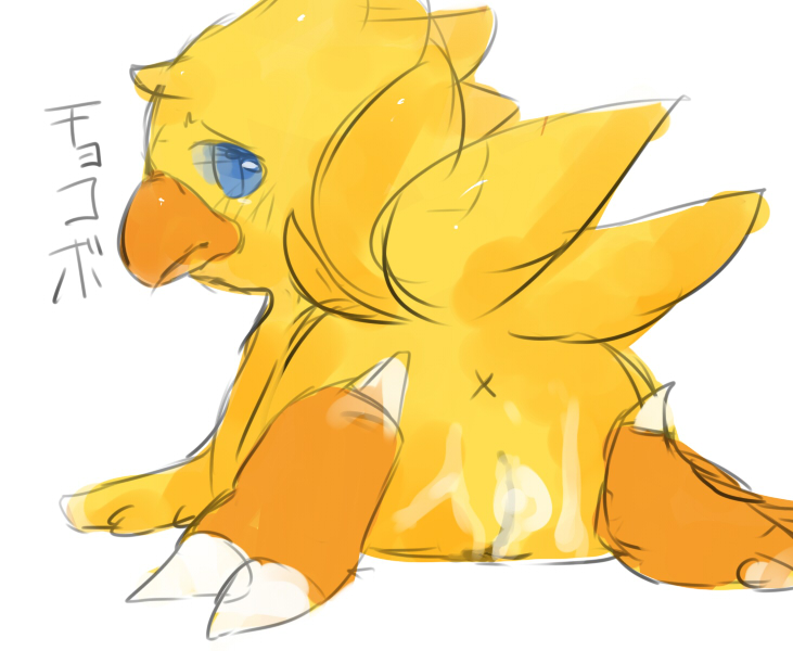 Rule34 – If it exists, there is porn of it / chocobo / 94465