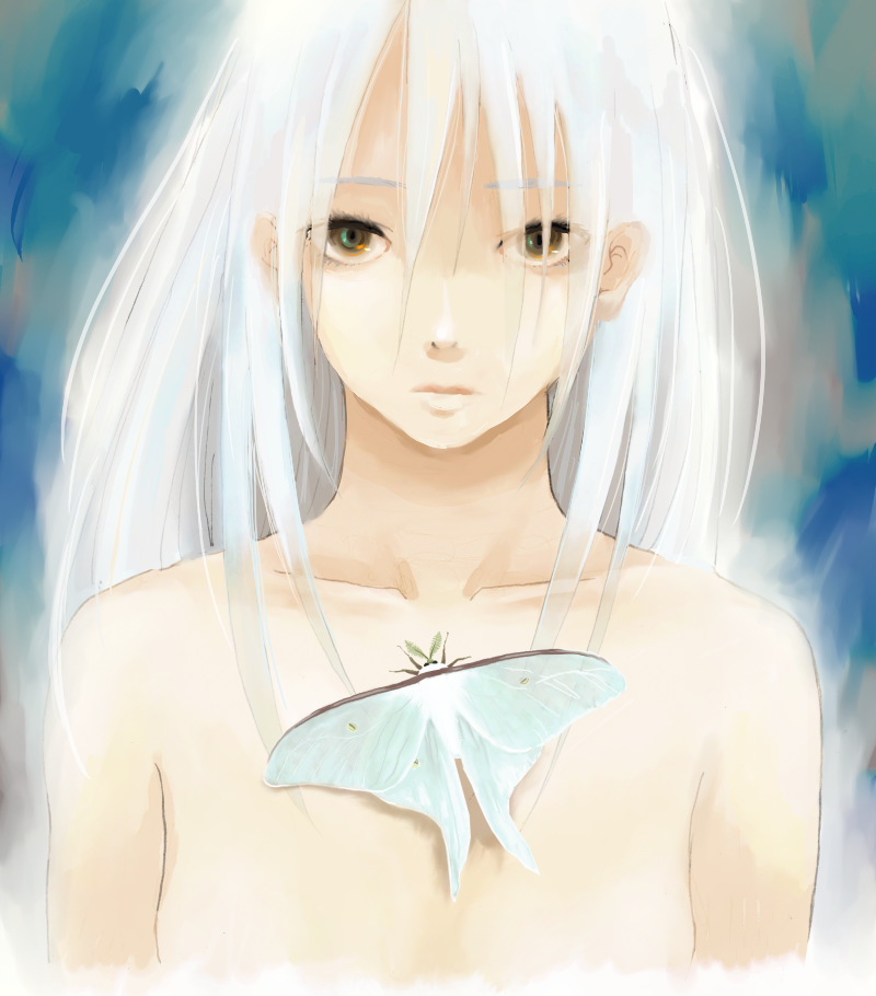 re:i, bad id, bad pixiv id, 1girl, bug, butterfly, female focus, insect, long hair, moth, solo, topless female, white hair, yellow eyes