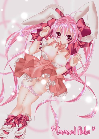 di gi charat, tagme