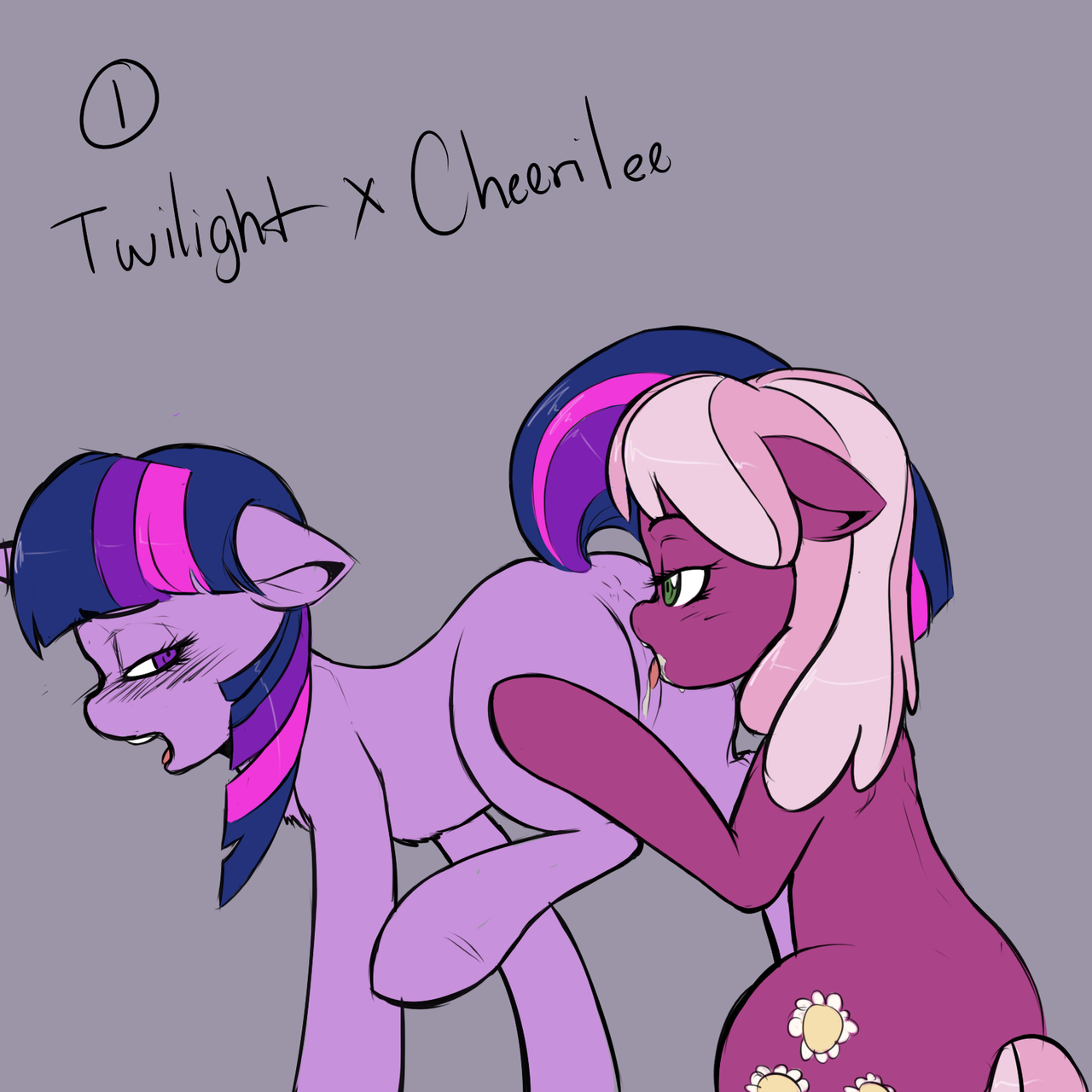 Rule34 – If it exists, there is porn of it / cheerilee, twilight sparkle (mlp) / 94767