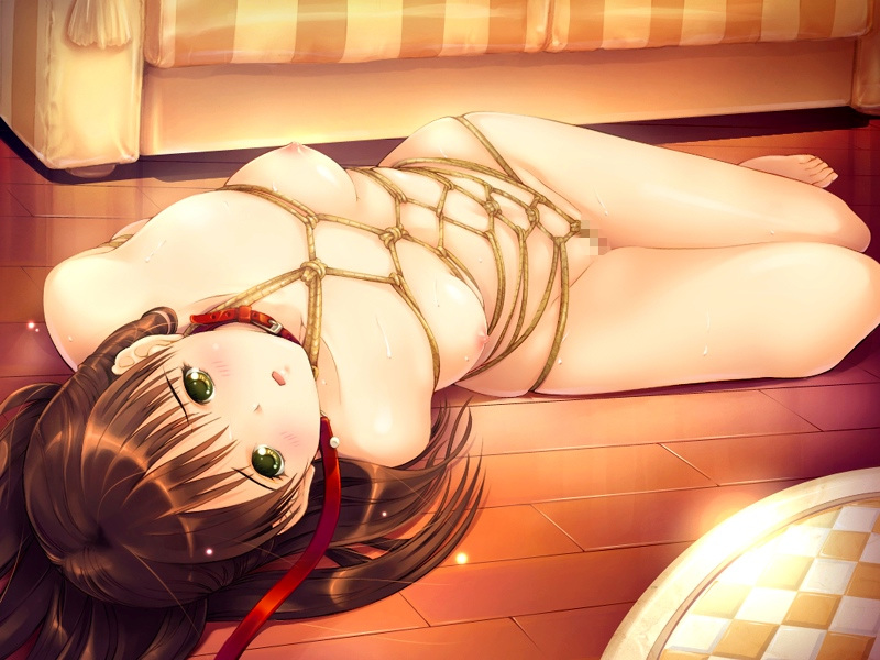 shiera, uni8, morishita mayu, ai no katachi, game cg, 1girl, arms behind back, bdsm, blush, bondage, bound, breasts, brown hair, censored, collar, completely nude, feet, female focus, floor, green eyes, leash, long hair, lying, mosaic censoring, nipples, nude, open mouth, pussy, rope, shibari, slave, small breasts, solo, viewer holding leash, yellow eyes