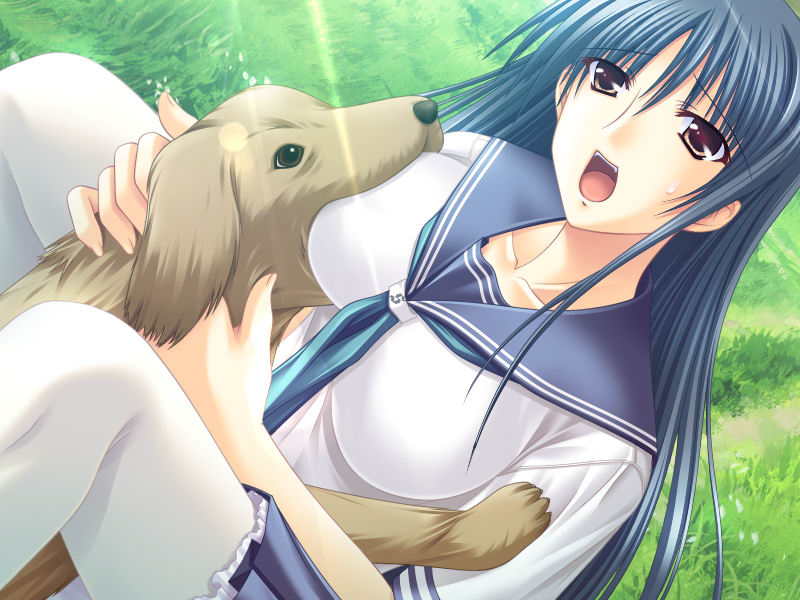 chiba chinatsu, kuwahara shion, okitsune summer, game cg, 1girl, blue hair, breast biting, brown eyes, dog, female focus, pantyhose, school uniform, serafuku, solo, white pantyhose