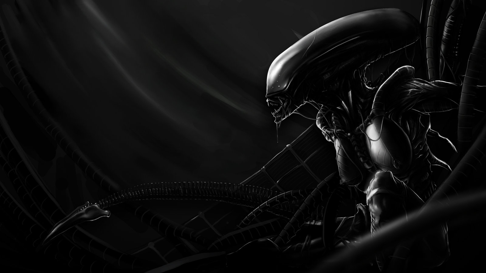 Rule34 – If it exists, there is porn of it / xenomorph / 96212