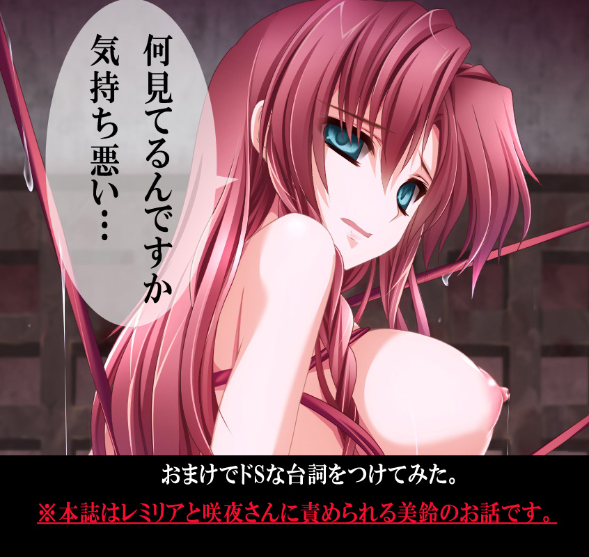 Rule34 – If it exists, there is porn of it / hong meiling / 99597