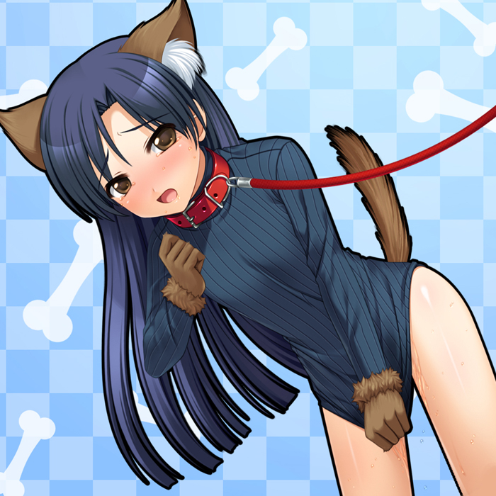kisaragi chihaya, idolmaster, idolmaster (classic), idolmaster 1, non-web source, 00s, animal ears, blue hair, brown eyes, collar, dog ears, dog tail, gloves, leash, long hair, slave, solo, sweat, sweater, tail, tongue