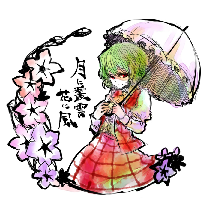 tadano kagekichi, kazami yuuka, touhou, 1girl, ascot, female focus, flower, green hair, parasol, plaid clothes, plaid skirt, plaid vest, red eyes, shaded face, short hair, skirt, skirt set, smile, solo, umbrella, vest