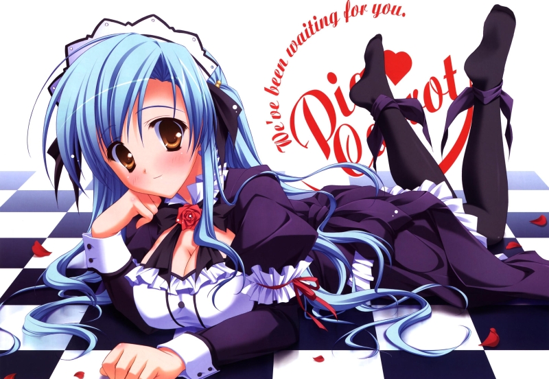 ryouka (suzuya), moromizato aoi, pia carrot (series), pia carrot e youkoso!! g.p., 1girl, blue hair, blush, breasts, brown eyes, cleavage, female focus, large breasts, long hair, maid, maid headdress, pantyhose, petals, socks, solo