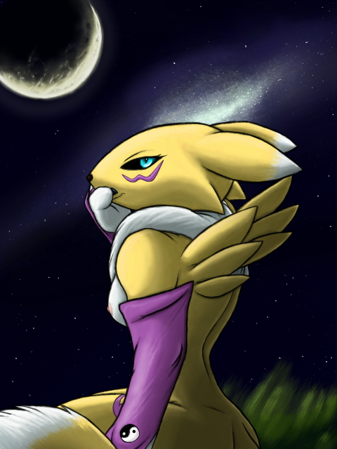 Rule34 – If it exists, there is porn of it / moltsi, renamon / 100837