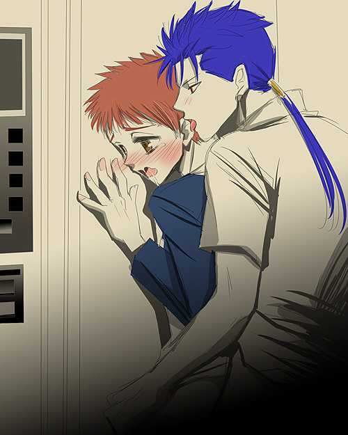 Rule34 – If it exists, there is porn of it / cu chulainn (fate), shirou emiya / 100917