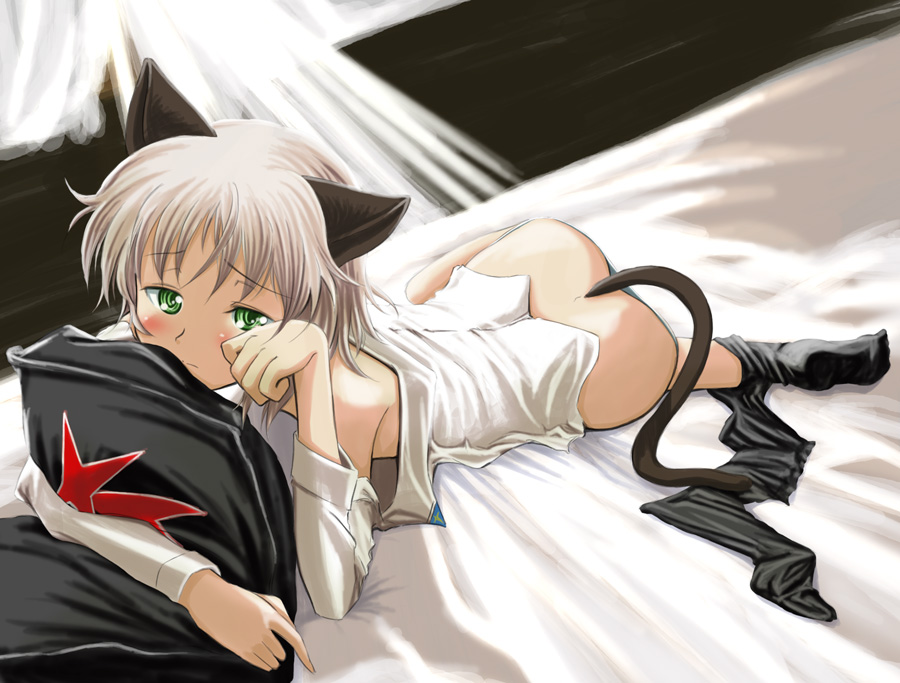 chiaki lsd, sanya v. litvyak, strike witches, world witches series, 00s, 1girl, animal ears, bed, black pantyhose, female focus, green eyes, lying, no panties, on stomach, pantyhose, pantyhose around one leg, pillow, sleepy, solo, tail, white hair