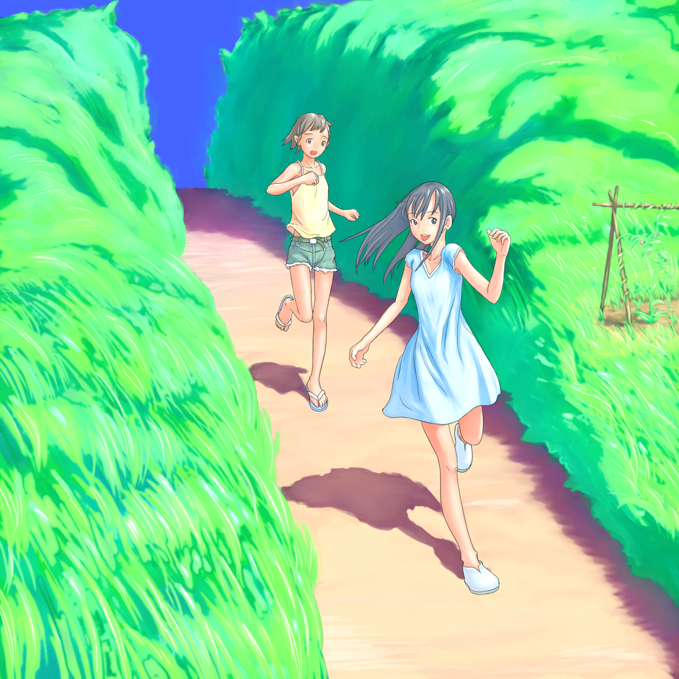 flash tomo, highres, 2girls, blue hair, denim, denim shorts, dress, field, grass, long hair, multiple girls, running, sandals, shadow, short hair, shorts, tank top