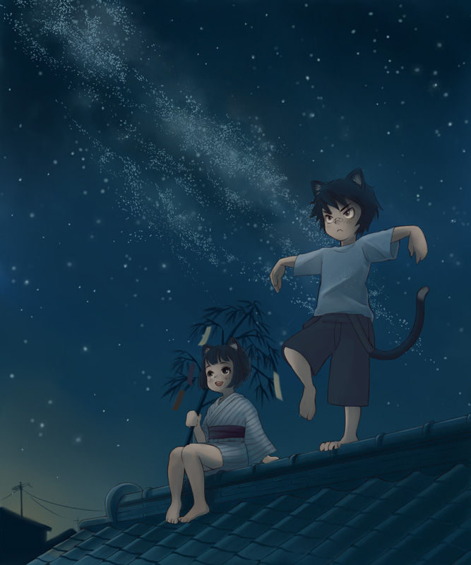luna2, original, 1boy, 1girl, animal ears, balancing, barefoot, black eyes, black hair, cat ears, cat tail, japanese clothes, kimono, night, rooftop, short hair, sky, standing, standing on one leg, star (sky), starry sky, tail, tanabata