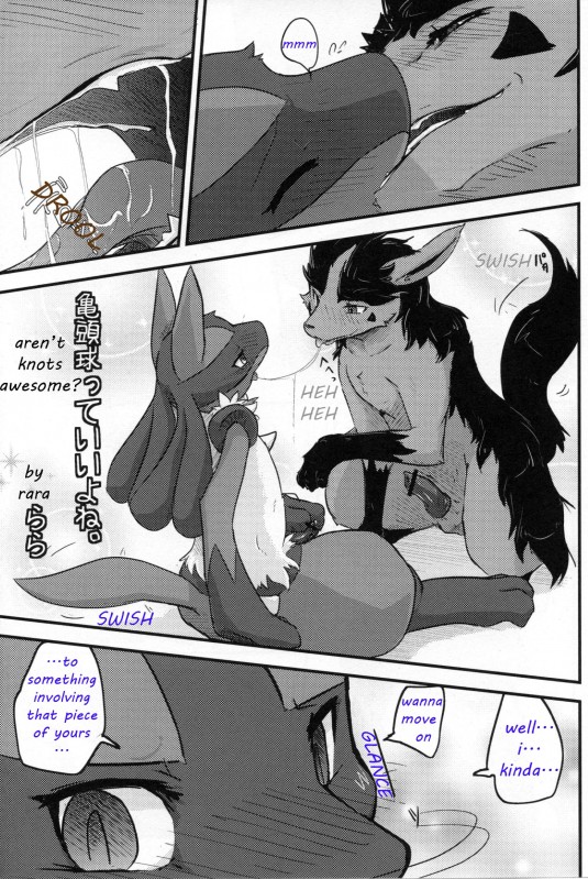 Rule34 – If it exists, there is porn of it / rara, lucario, mightyena / 101495