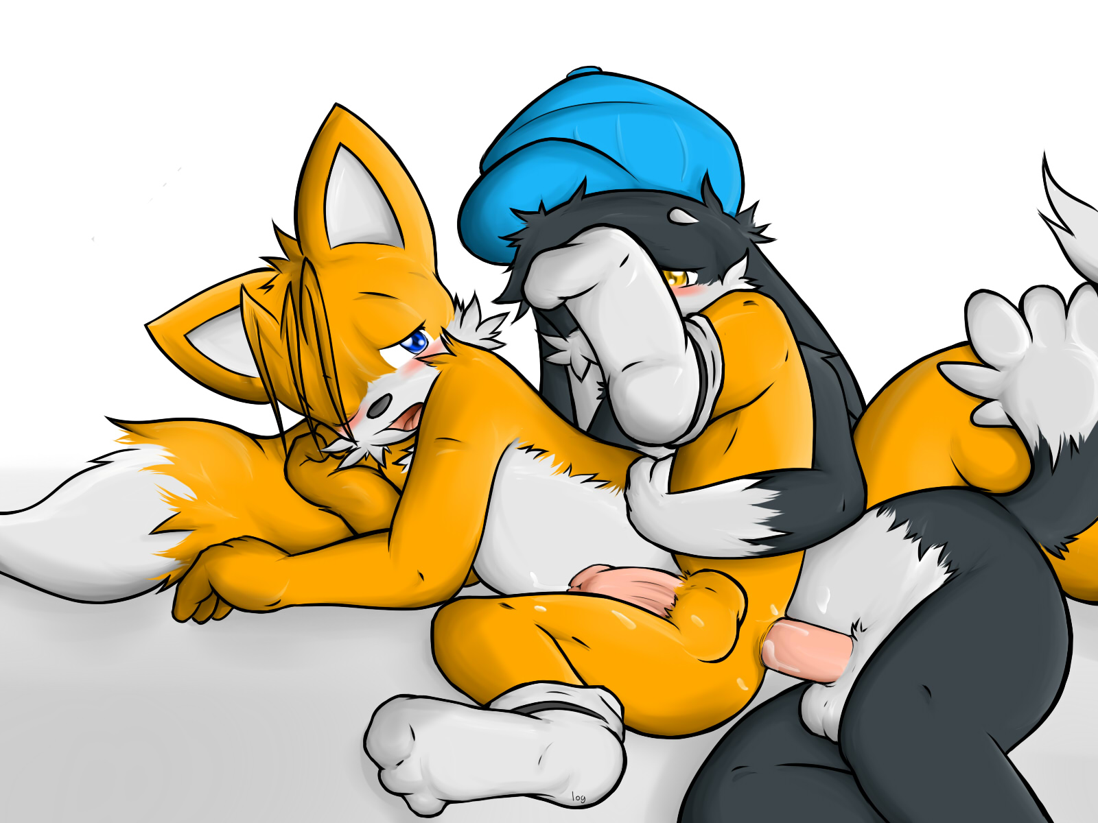 Rule34 – If it exists, there is porn of it / klonoa, tails / 101626