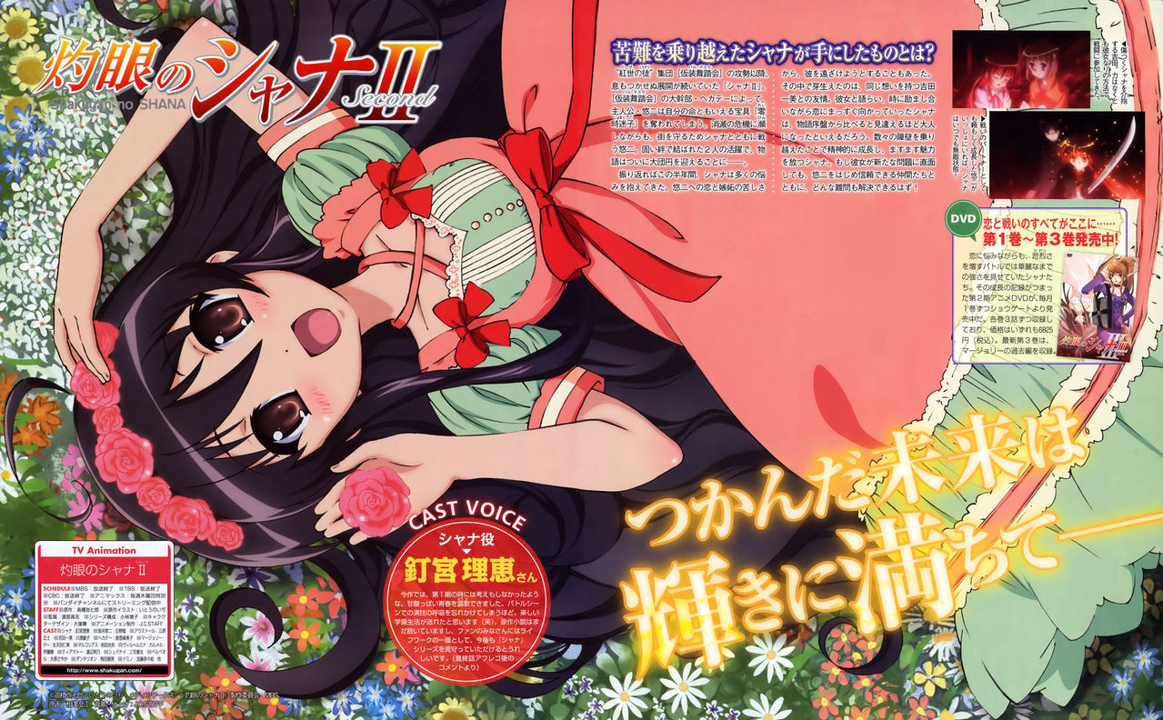 aizawa sumie, shana, shakugan no shana, non-web source, scan, 00s, black hair, brown eyes, dress, flower, long hair, lying, rose, solo, text focus