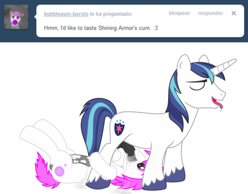 Rule34 – If it exists, there is porn of it / shining armor / 105803