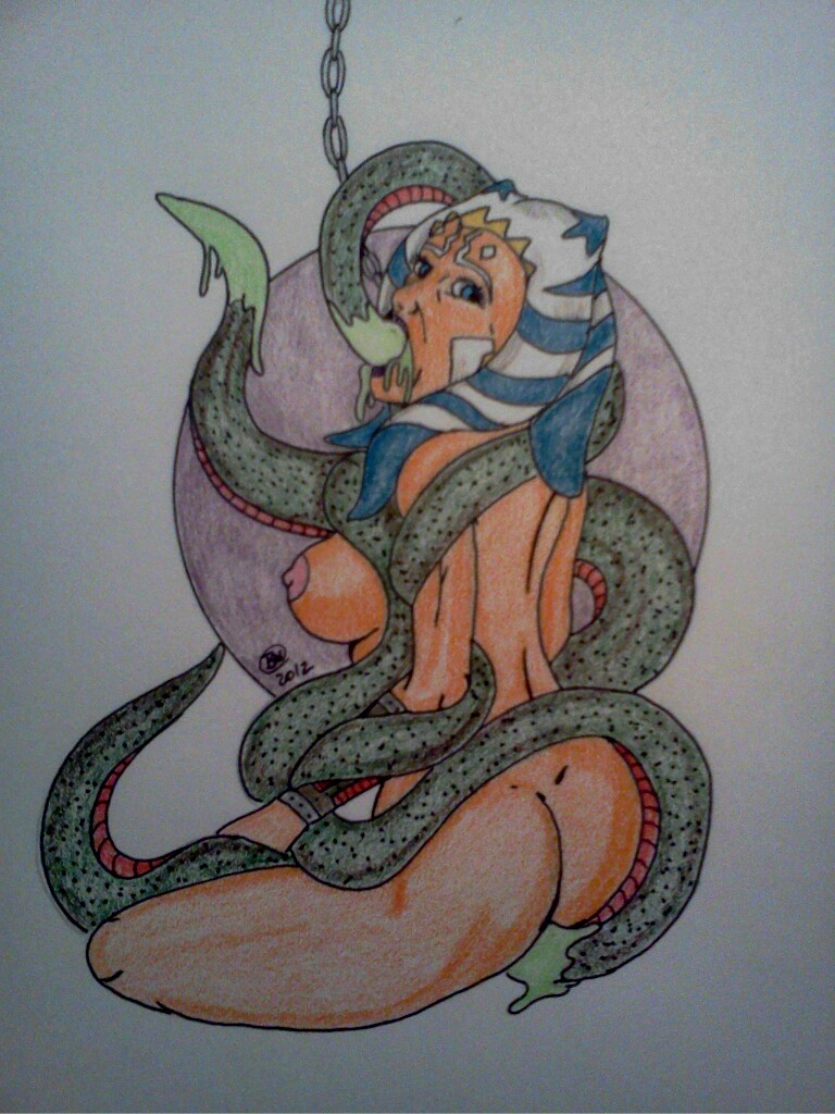 Rule34 – If it exists, there is porn of it / swf123, ahsoka tano, togruta / 105826