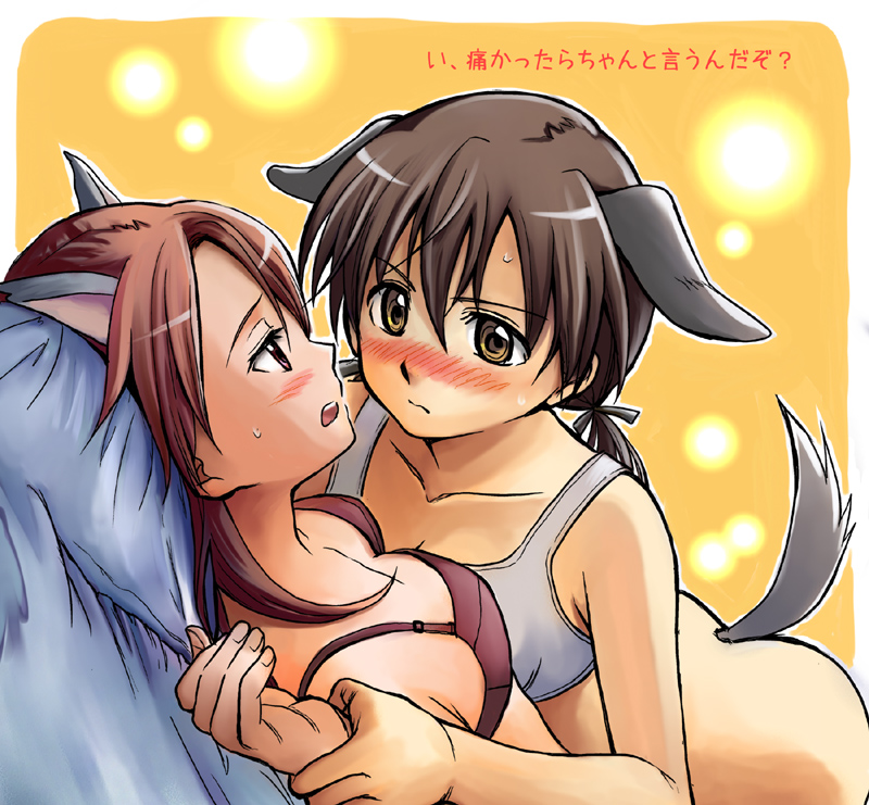 niina ryou, gertrud barkhorn, minna-dietlinde wilcke, strike witches, world witches series, bad id, bad pixiv id, translated, 00s, 2girls, animal ears, blush, bra, breast press, breasts, extra ears, lingerie, medium breasts, multiple girls, symmetrical docking, tail, underwear, yuri