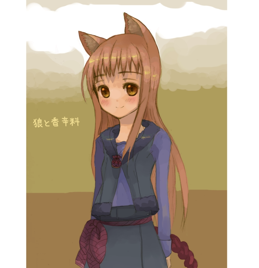 holo, spice and wolf, non-web source, translated, 00s, animal ears, brown eyes, brown hair, long hair, solo, vest, wolf ears