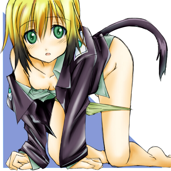 stargate (artist), erica hartmann, strike witches, world witches series, bad id, bad pixiv id, 00s, 1girl, all fours, bare shoulders, blonde hair, blush, bottomless, breasts, cleavage, female focus, green eyes, medium breasts, multicolored hair, no panties, open mouth, panties, panty pull, short hair, solo, tail, torn clothes, two-tone hair, underwear