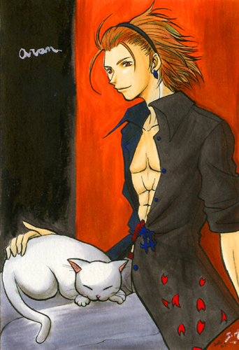 aran (rumble fish), the rumble fish, lowres, tagme, cat