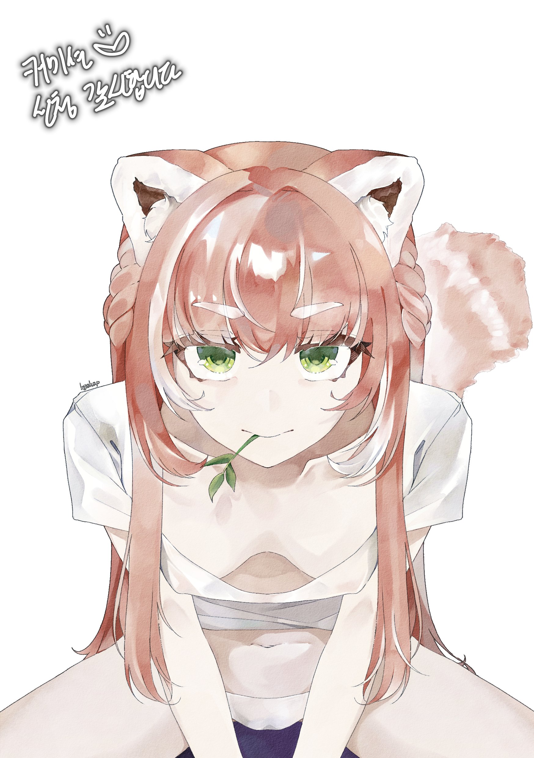searoach otaku, yuria of ailurus, indie virtual youtuber, absurdres, highres, 1girl, animal ear fluff, animal ears, bamboo leaf, breasts, cameltoe, green eyes, invisible chair, looking at viewer, navel, panties, red panda ears, red panda girl, red panda tail, see-through clothes, see-through shirt, shirt, sitting, small breasts, solo, stomach, underwear, virtual youtuber, white panties, white shirt