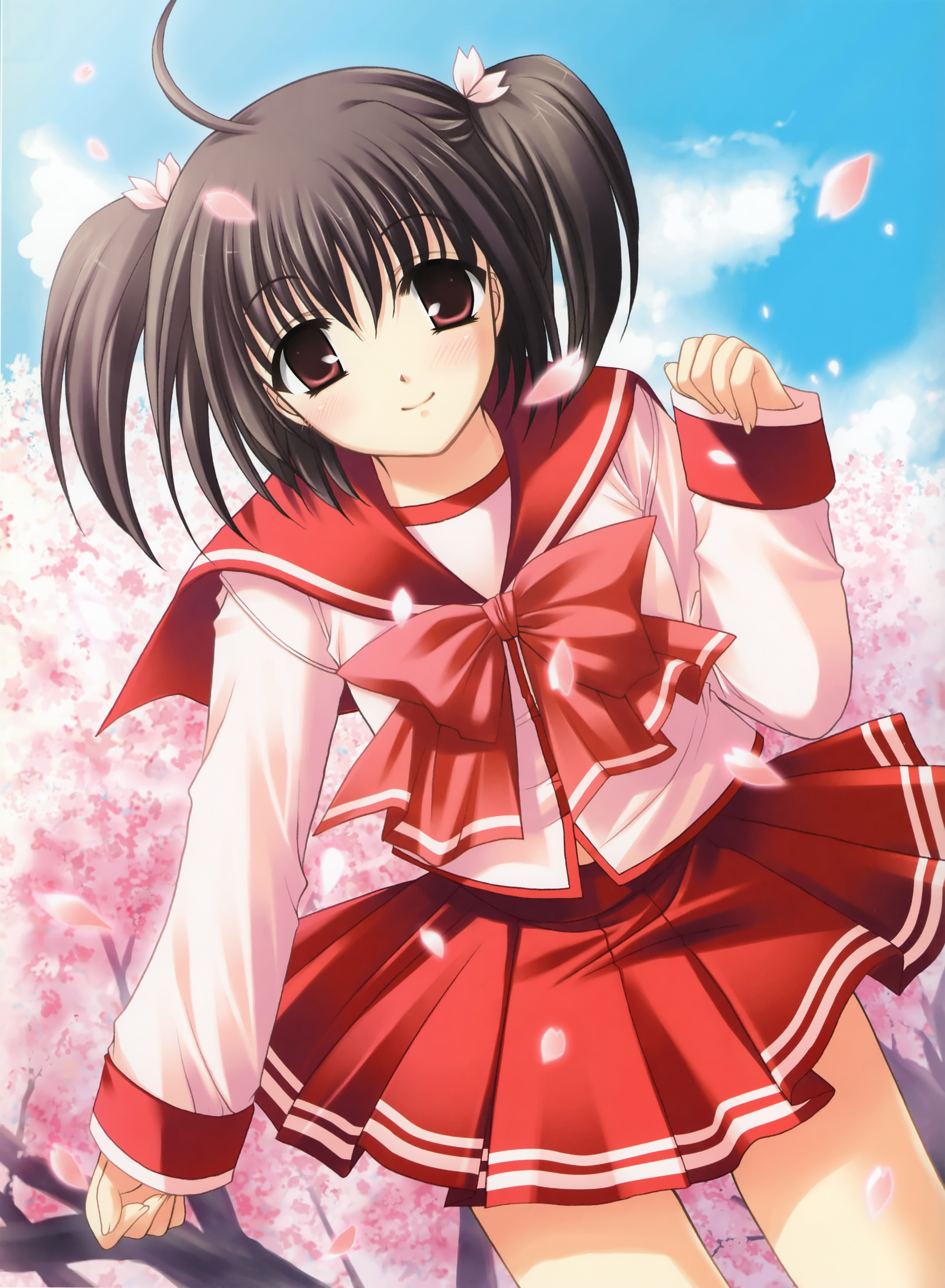 nishimata aoi, yuzuhara konomi, to heart (series), to heart 2, absurdres, highres, non-web source, 00s, 1girl, ahoge, black hair, cherry blossoms, female focus, petals, red eyes, school uniform, serafuku, solo