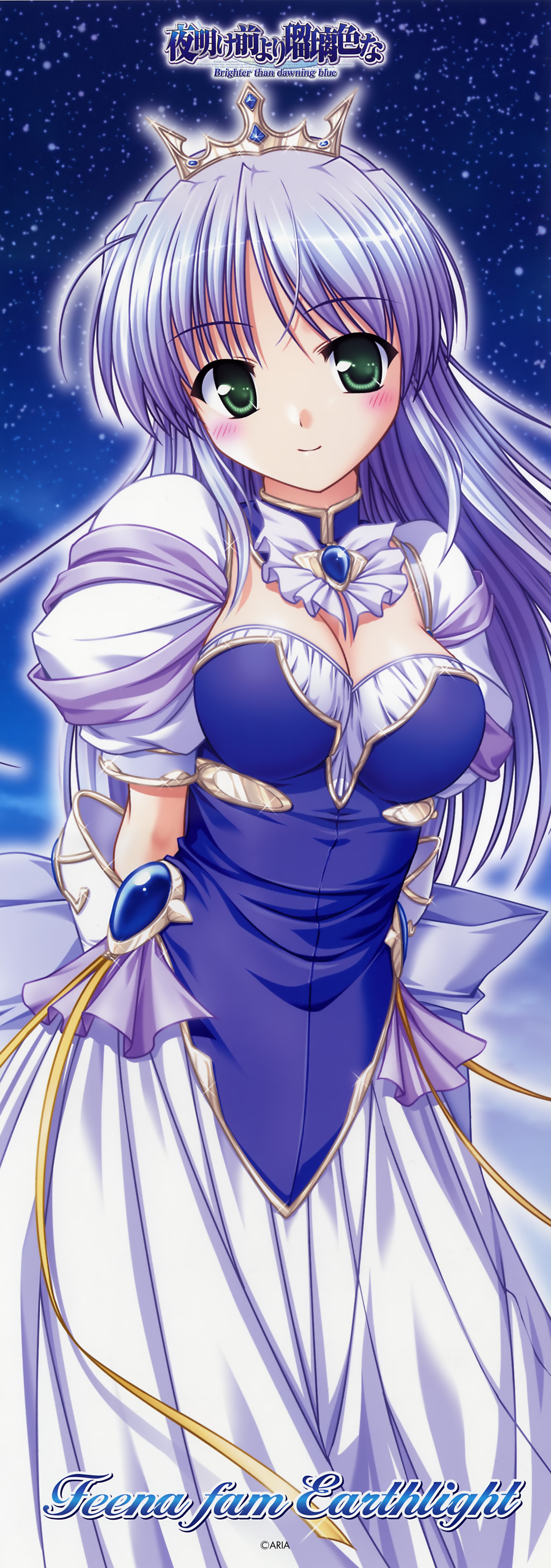 bekkankou, feena fam earthlight, yoake mae yori ruri iro na, absurdres, highres, long image, tall image, 1girl, blush, breasts, cleavage, dress, female focus, green eyes, hair ornament, jewelry, long hair, purple hair, skirt, sky, solo, star (sky), star (symbol), starry sky, stick poster