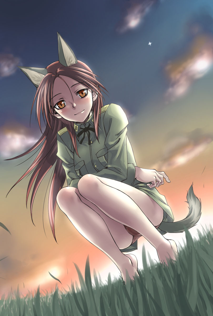 satou atsuki, minna-dietlinde wilcke, strike witches, world witches series, highres, 00s, 1girl, animal ears, barefoot, brown hair, female focus, from below, long hair, looking down, panties, solo, squatting, tail, underwear