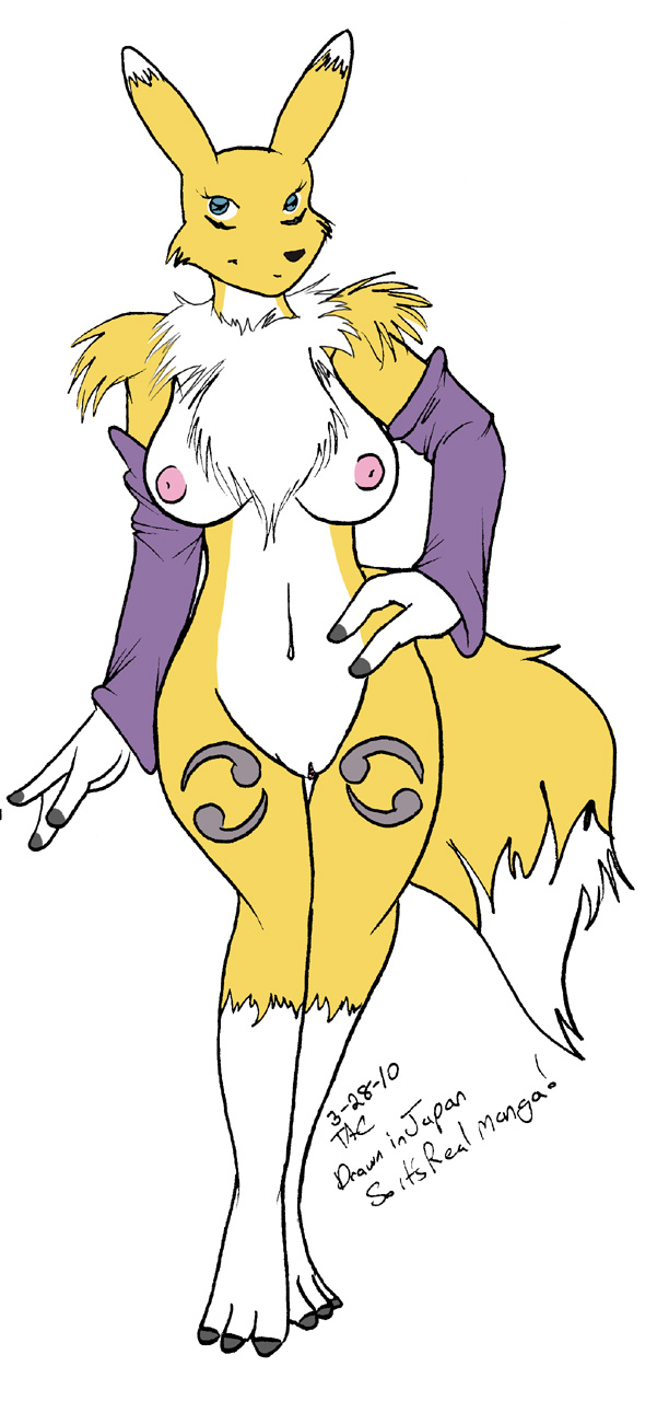 Rule34 – If it exists, there is porn of it / renamon / 106274