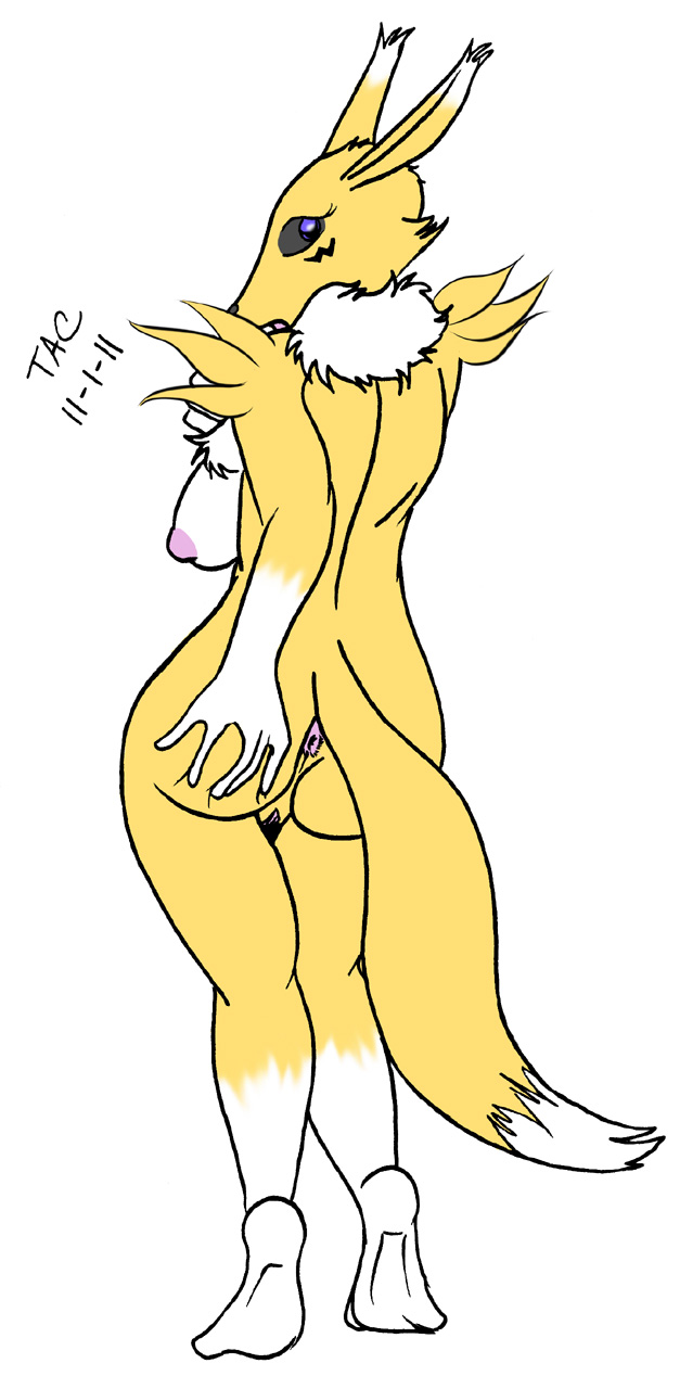 Rule34 – If it exists, there is porn of it / renamon / 106278