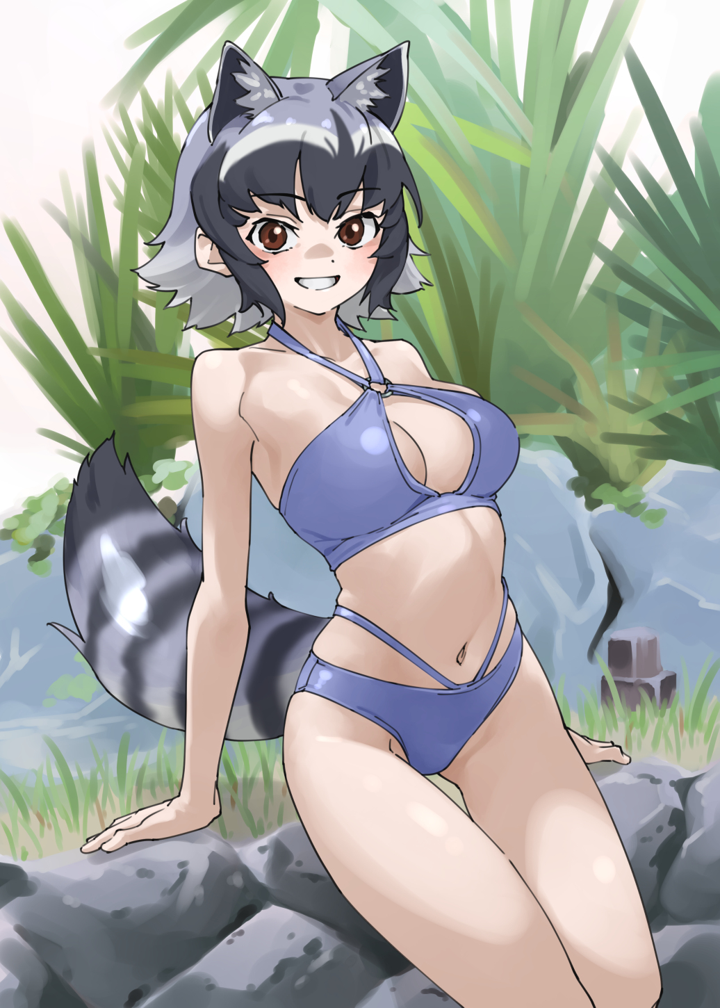 tanabe (fueisei), common raccoon (kemono friends), kemono friends, highres, 1girl, animal ears, bikini, black hair, breasts, brown eyes, cleavage, extra ears, grey hair, large breasts, multicolored hair, navel, raccoon ears, raccoon girl, raccoon tail, swimsuit, tail