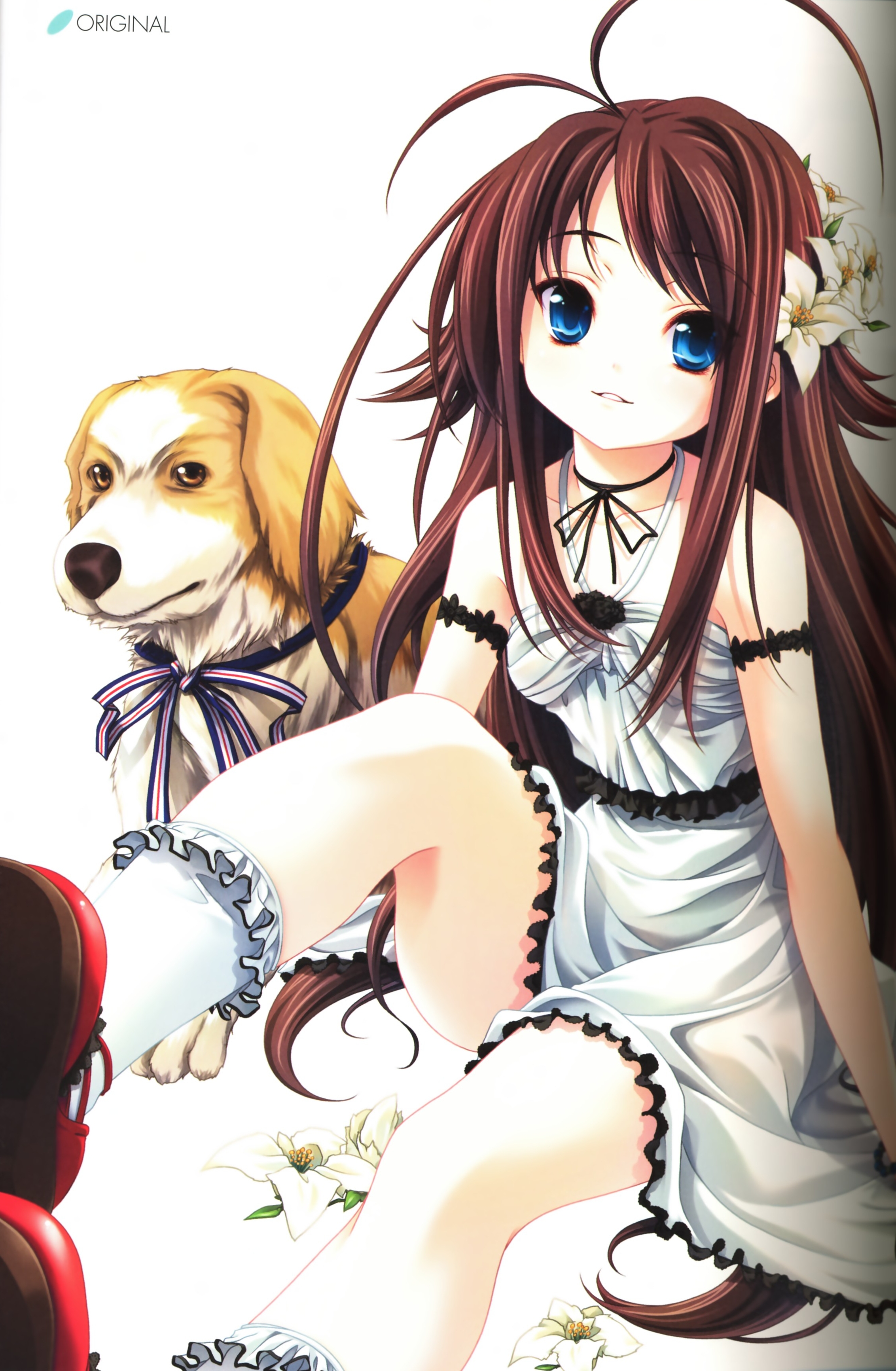 miyama-zero, absurdres, highres, blue eyes, brown hair, dog, dress, flower, solo