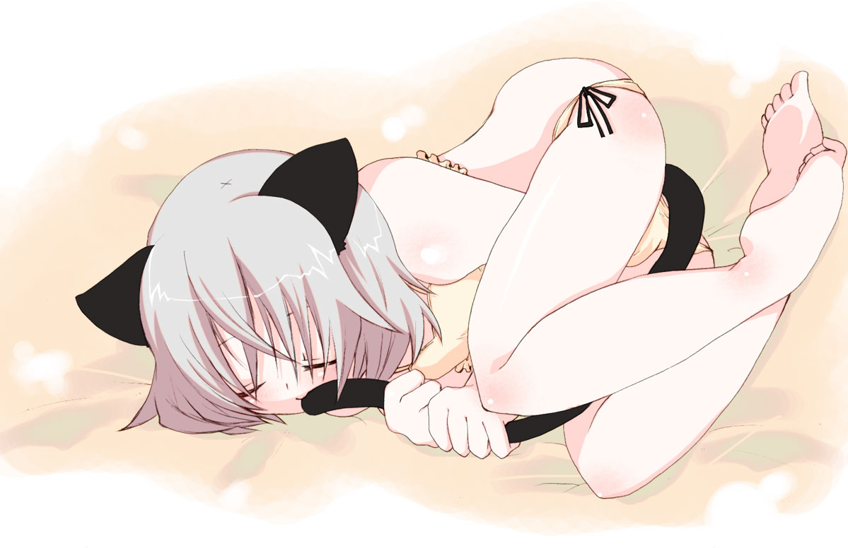 kosori (dennoukitan), yuugi, sanya v. litvyak, strike witches, world witches series, silver hair, 00s, 1girl, animal ears, barefoot, cat ears, cat tail, closed eyes, female focus, lingerie, panties, short hair, side-tie panties, sleeping, solo, tail, underwear