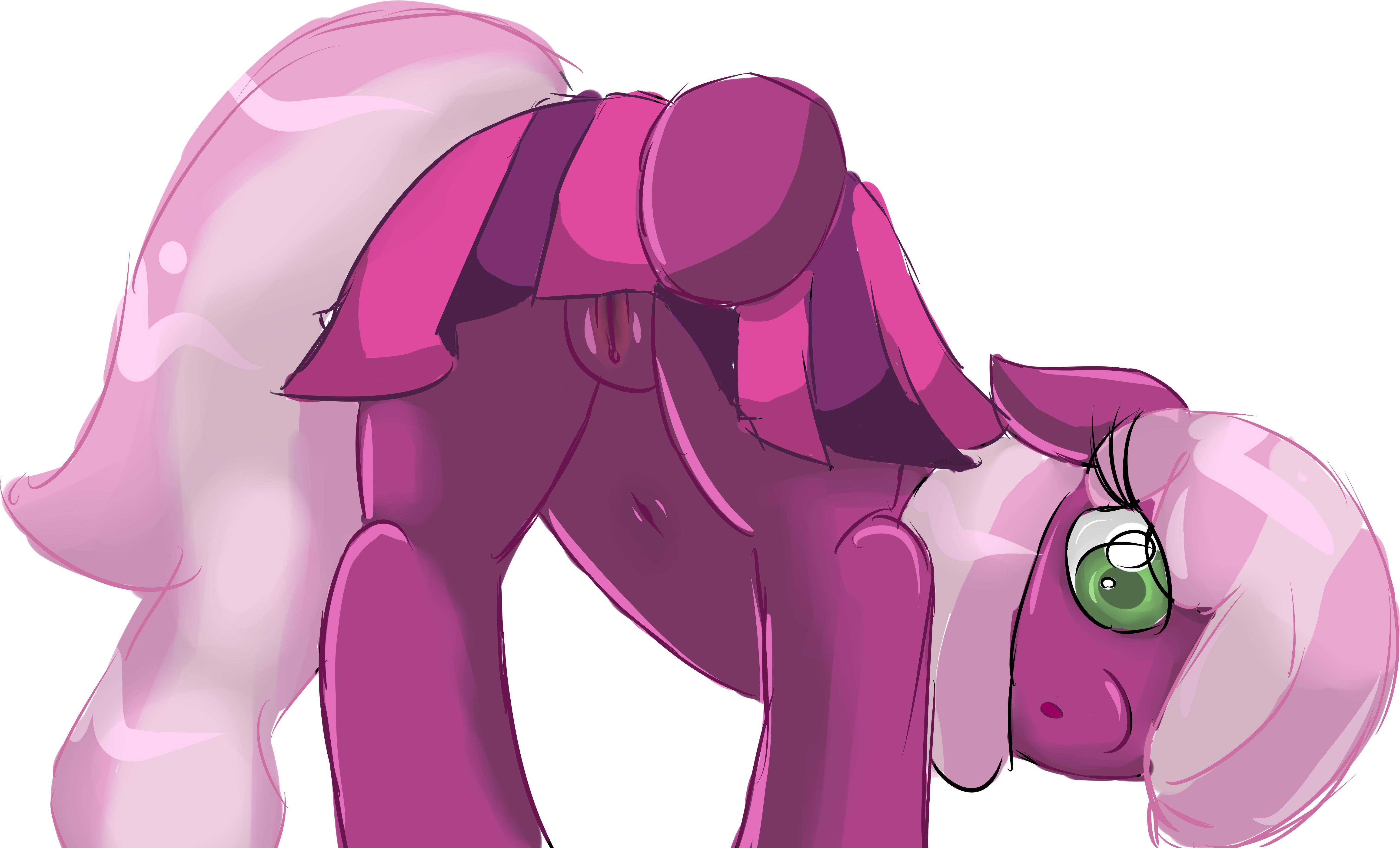 Rule34 – If it exists, there is porn of it / cheerilee / 107067