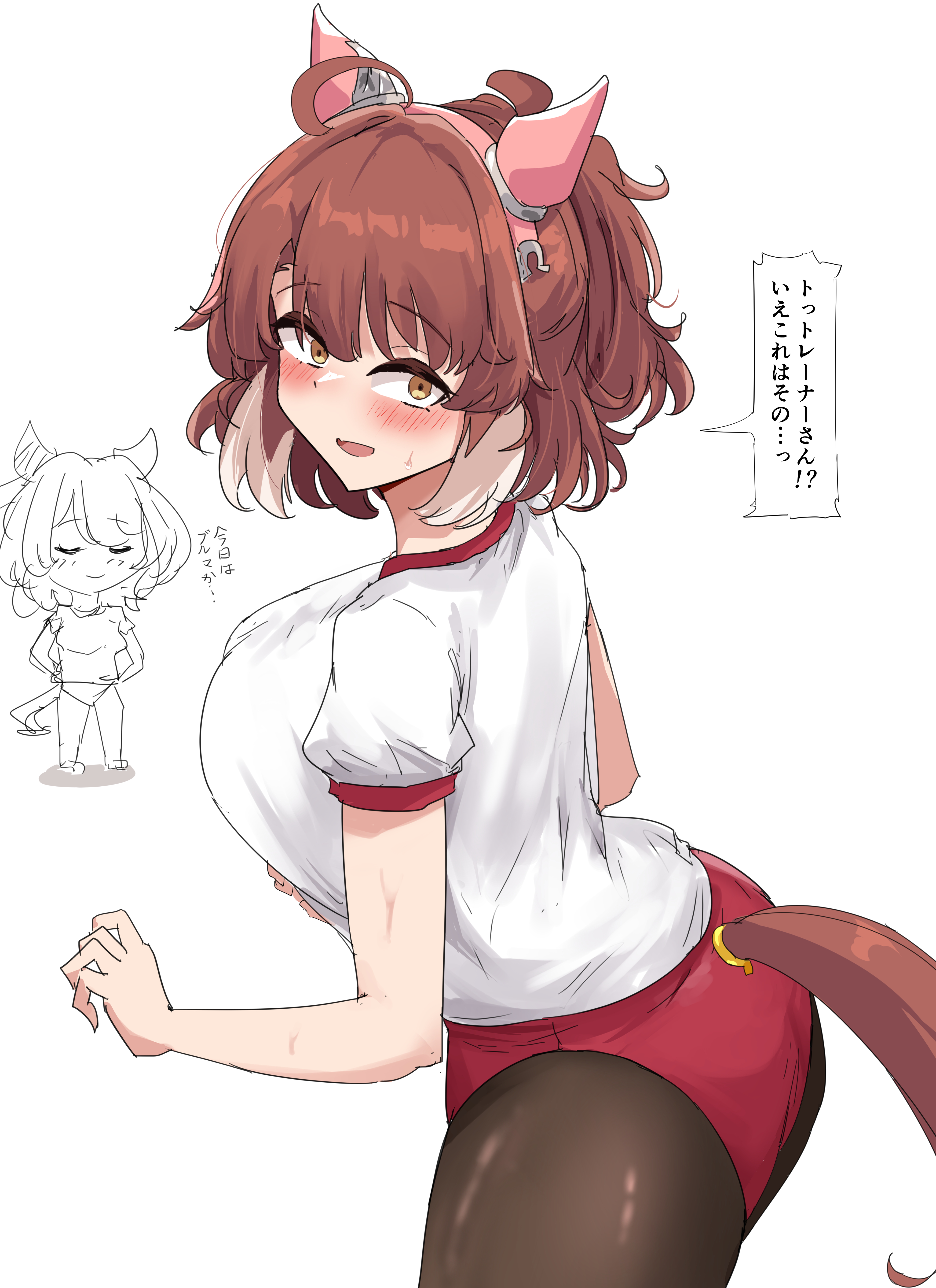 gryebooks, dantsu flame (umamusume), hishi miracle (umamusume), umamusume, absurdres, commentary request, highres, translation request, 2girls, animal ears, brown eyes, brown hair, brown pantyhose, gym uniform, horse ears, horse girl, horse tail, multiple girls, pantyhose, simple background, tail, white background