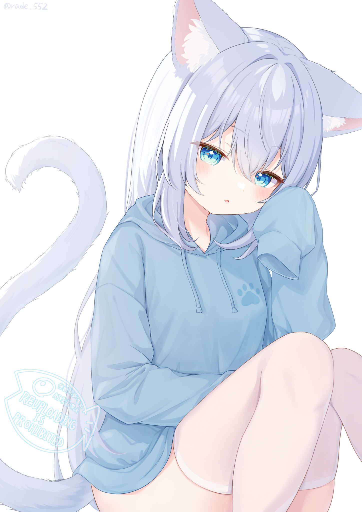 rade (rade 552), original, commentary request, highres, 1girl, animal ears, blue eyes, blue hoodie, cat ears, cat girl, cat tail, hood, hoodie, long hair, sleeves past wrists, solo, tail, thighhighs, white background, white thighhighs