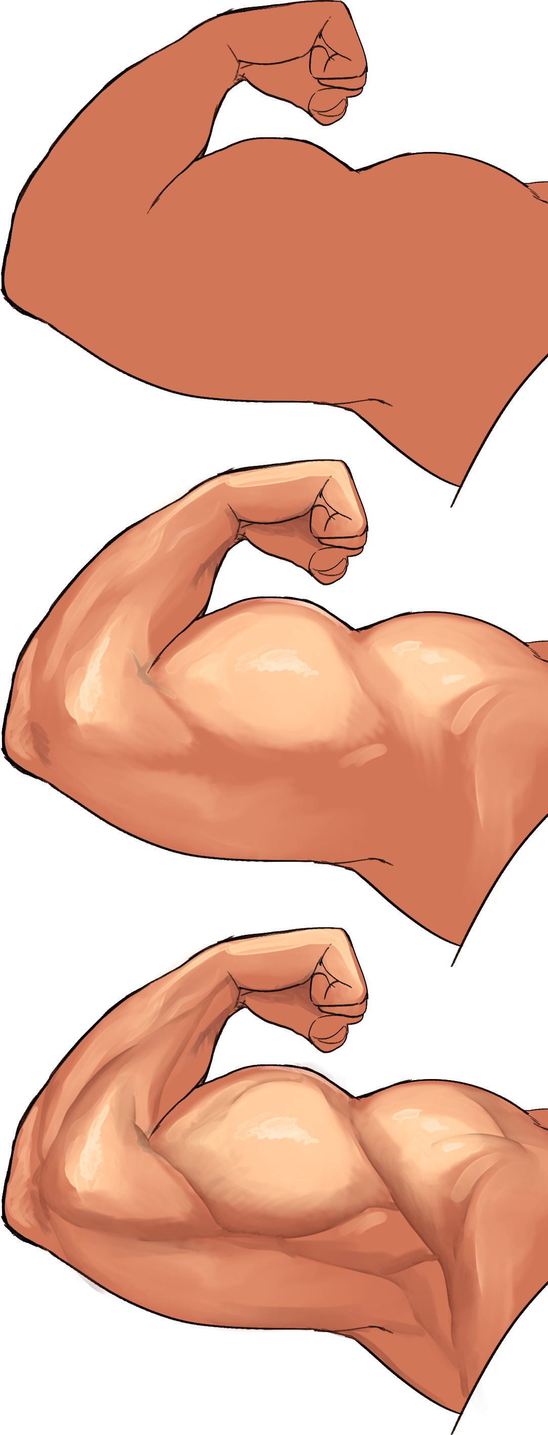 hunter rank e, original, absurdres, highres, anatomy, armpits, biceps, clenched hand, faceless, flexing, how to, muscular, simple background, white background