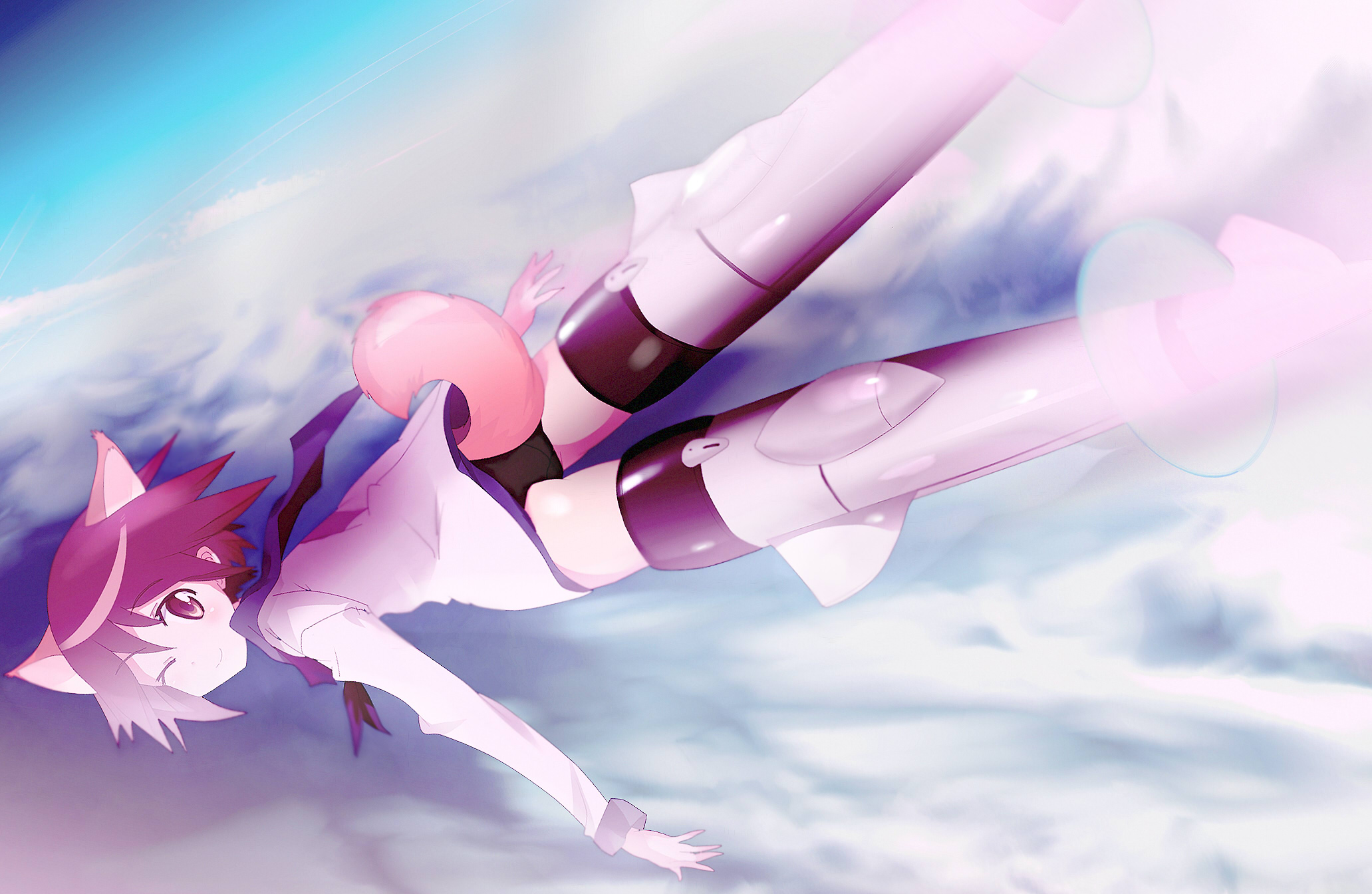 yoshioka yoshiko, miyafuji yoshika, strike witches, world witches series, highres, 00s, 1girl, animal ears, cloud, female focus, solo, striker unit, tail