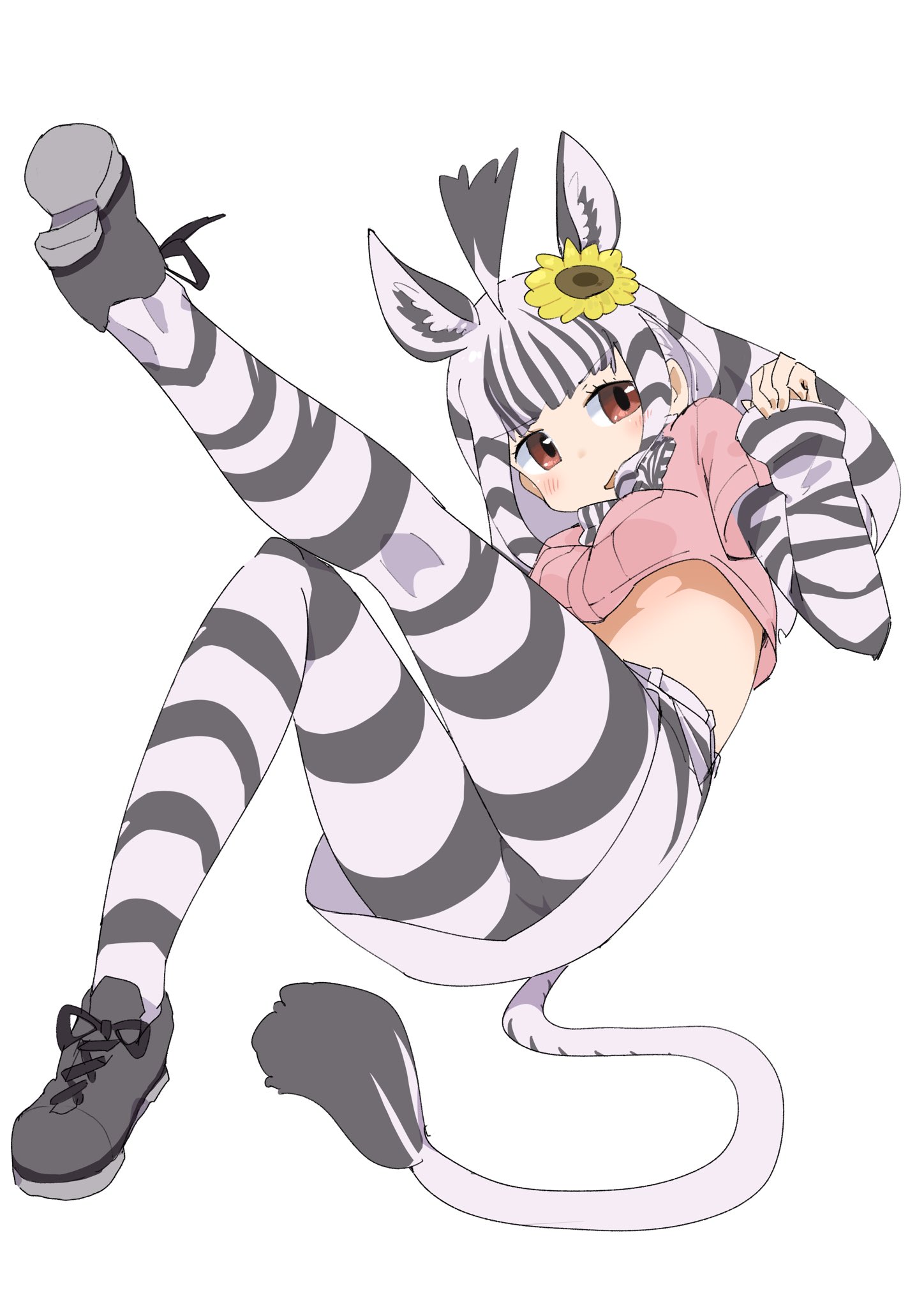 iwa (iwafish), mountain zebra (kemono friends), kemono friends, highres, 1girl, animal ears, animal print, black hair, black pantyhose, black shoes, black sleeves, blunt bangs, blush, brown eyes, brown shirt, crop top, extra ears, flower, hair flower, hair ornament, long hair, long sleeves, midriff, multicolored hair, pantyhose, patterned hair, print pantyhose, print sleeves, shirt, shoes, short sleeves, sidelocks, solo, striped clothes, striped hair, striped pantyhose, striped sleeves, sunflower, sunflower hair ornament, two-tone hair, two-tone pantyhose, two-tone sleeves, white hair, white pantyhose, white sleeves, zebra ears, zebra girl, zebra print, zebra tail