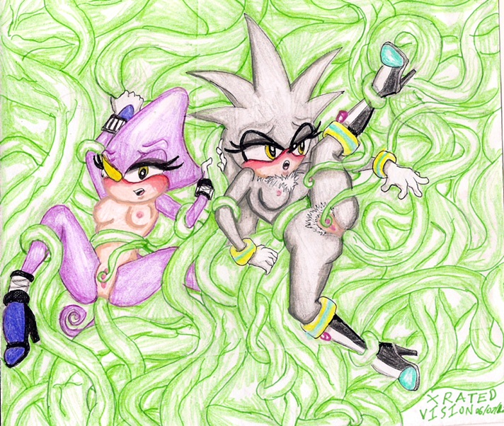 Rule34 – If it exists, there is porn of it / espio the chameleon, silver the hedgehog / 107654
