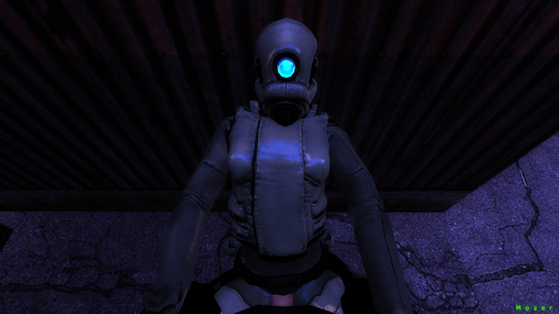 Rule34 – If it exists, there is porn of it / mozer, combine assassin, metrocop / 107816