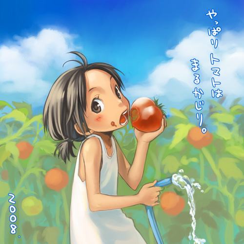 yuuryuu nagare, original, lowres, 00s, 1girl, 2008, antenna hair, black eyes, black hair, blue sky, blush, child, cloud, day, dress, eating, female focus, flat chest, food, food on face, from side, garden, holding, holding food, hose, japanese text, looking at viewer, low ponytail, open mouth, outdoors, ponytail, short ponytail, sky, sleeveless, sleeveless dress, solo, sundress, teeth, text focus, tomato, upper body, water