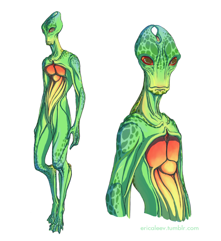 Rule34 – If it exists, there is porn of it / salarian / 108471